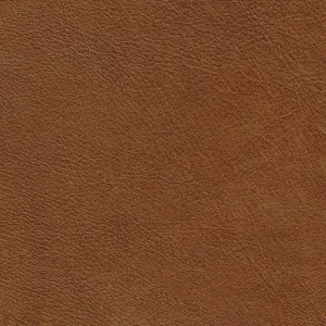 Behike Saddle Leather Swatch