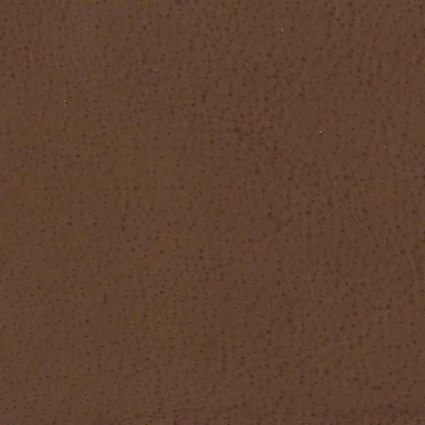 Camel Matte Leather Swatch