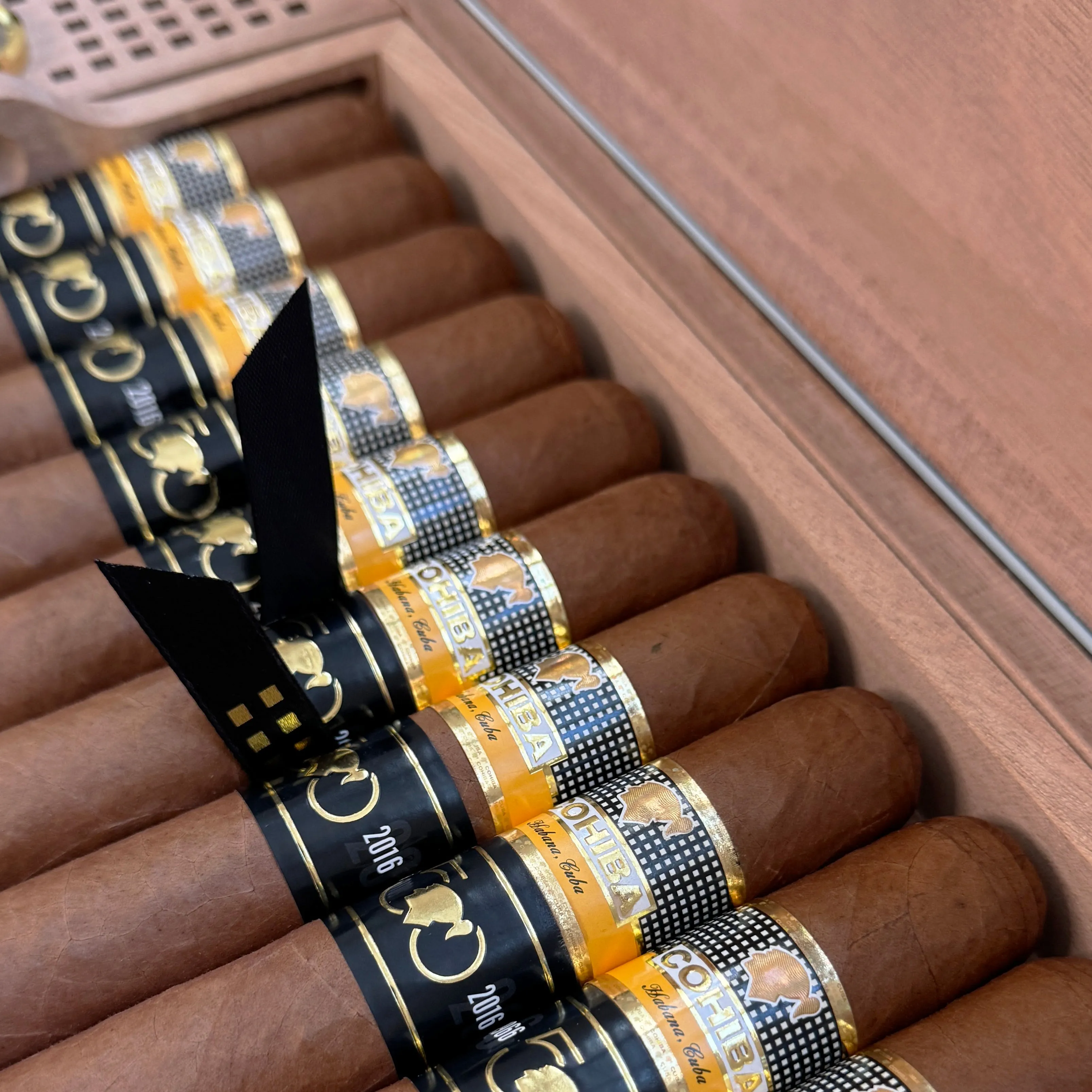 Cohiba Majestuosos 1966 - 50 Aniversario Humidor