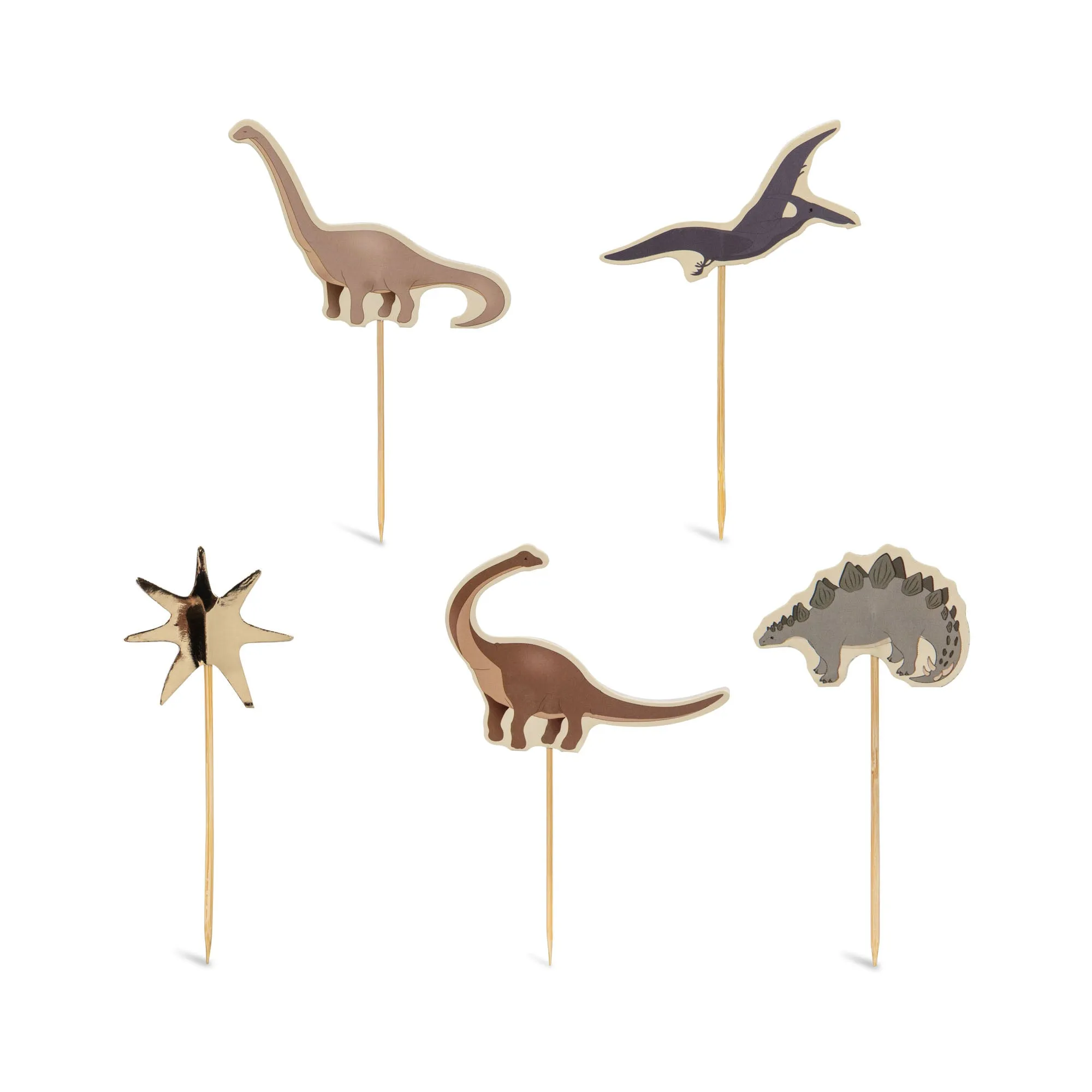 Dino Party-Kit FSC