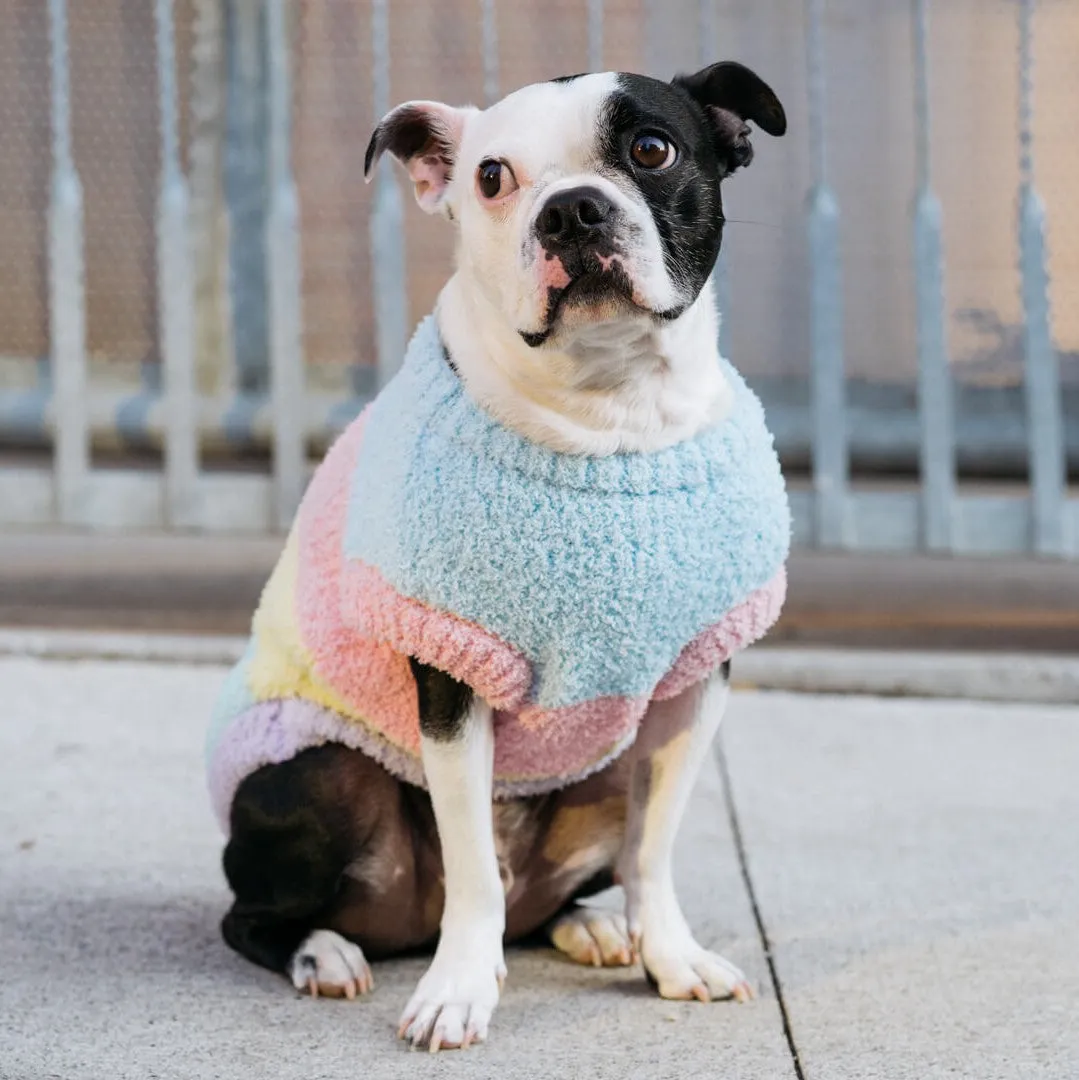 Pastel Party Sweater