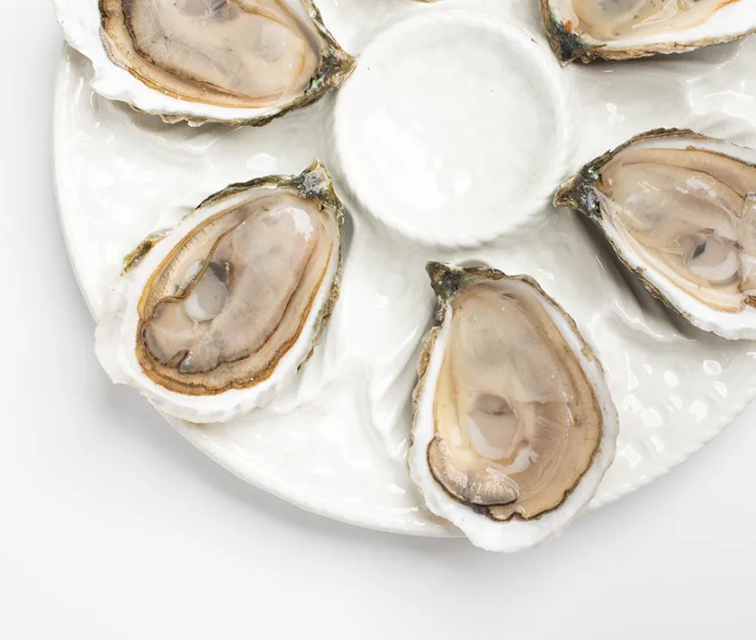 Spring Creek Oysters from Barnstable, MA