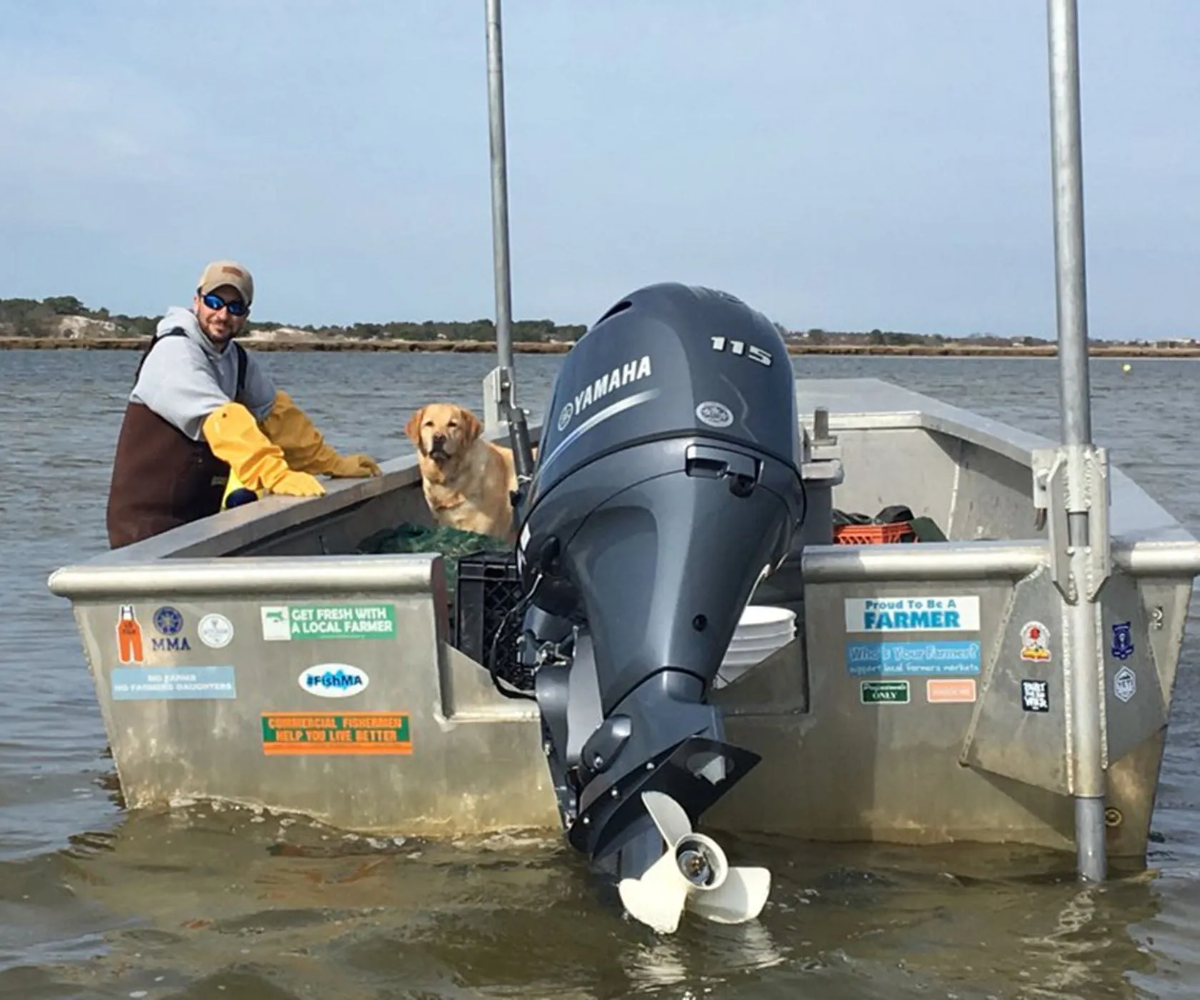 Spring Creek Oysters from Barnstable, MA